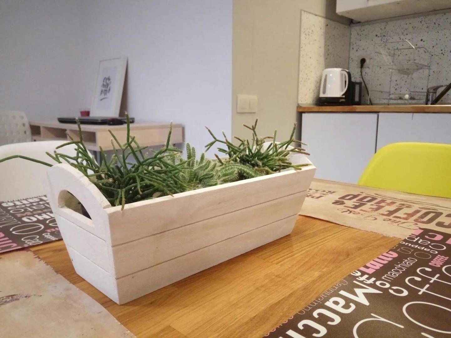 Quiet & airy modern apt. Top Centre Free Parking