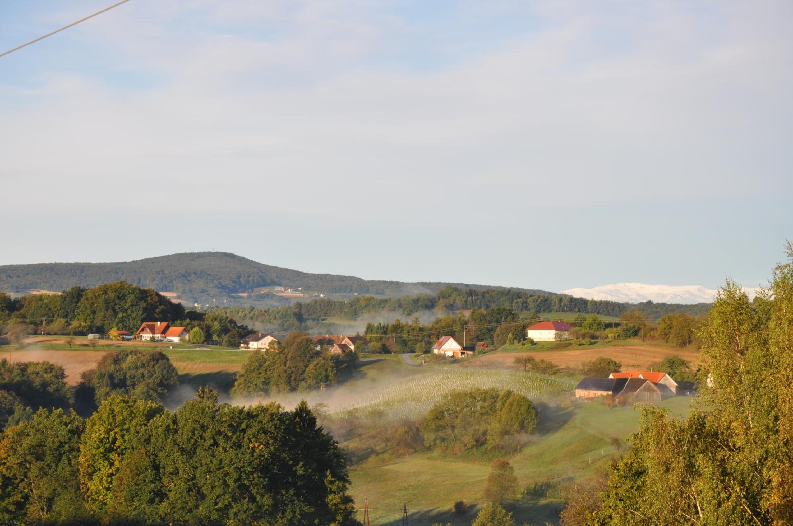 WEIN DOMIZIL Zieger