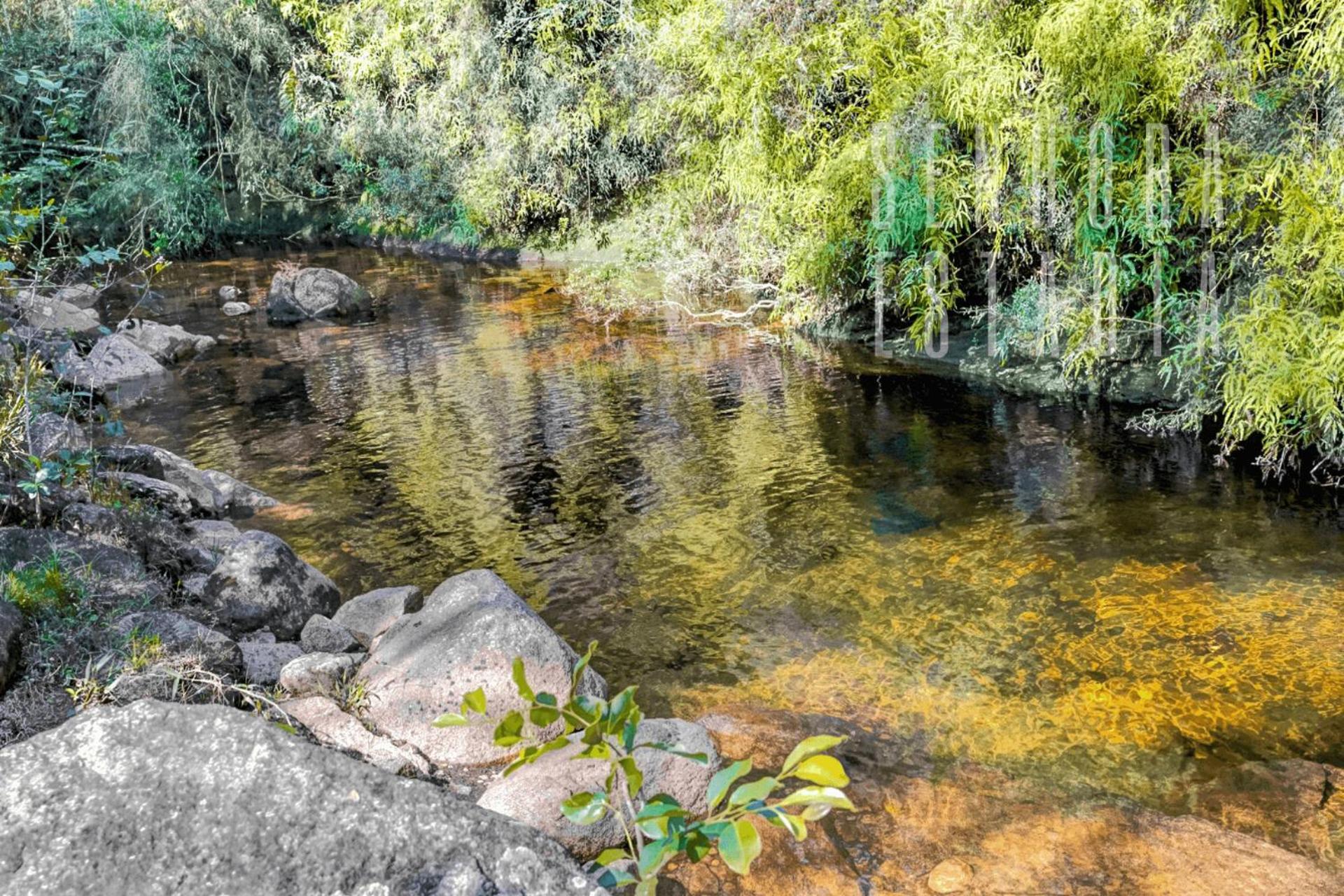 Empress Mansion: Hot Springs and Nature.