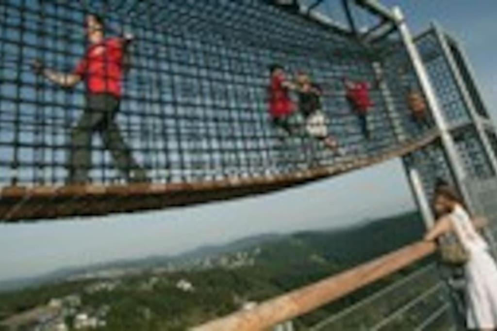 ERDGESCHOSS WOHNUNG BIS 10 PERSONEN ZENTRUM WINTERBERG
