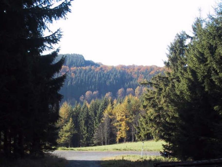 ERDGESCHOSS WOHNUNG BIS 10 PERSONEN ZENTRUM WINTERBERG