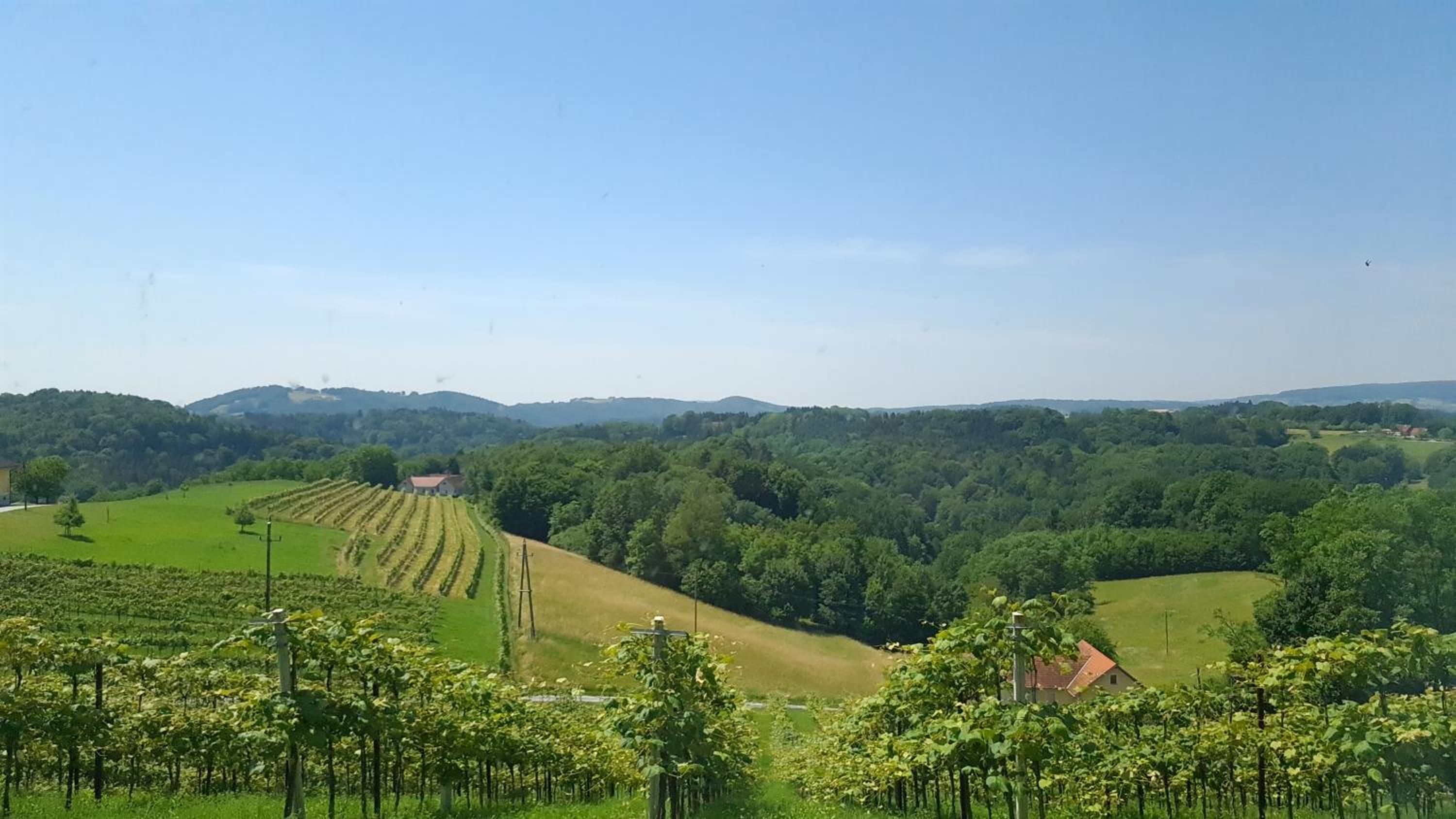 WEIN DOMIZIL Zieger