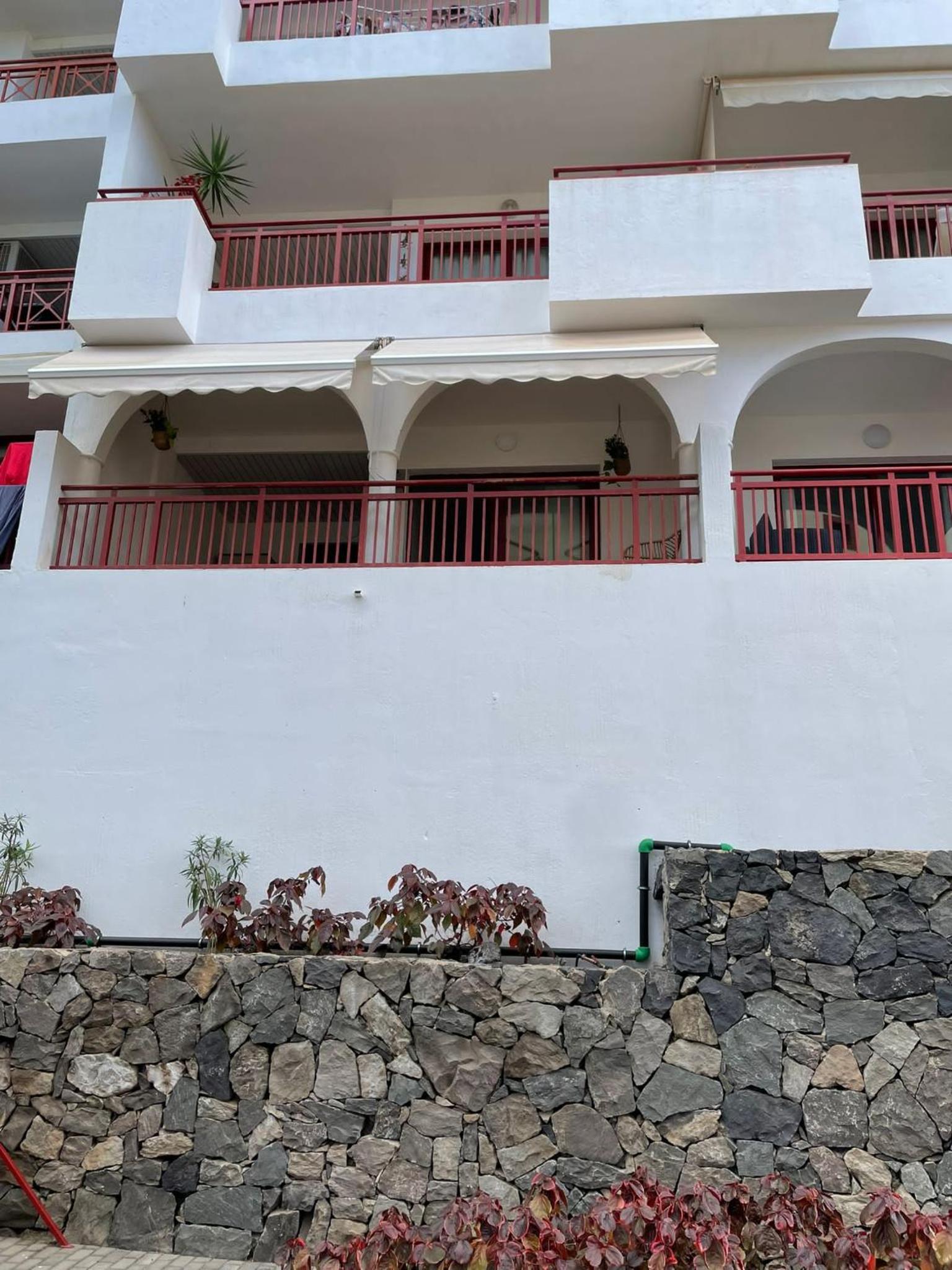El Bohemia