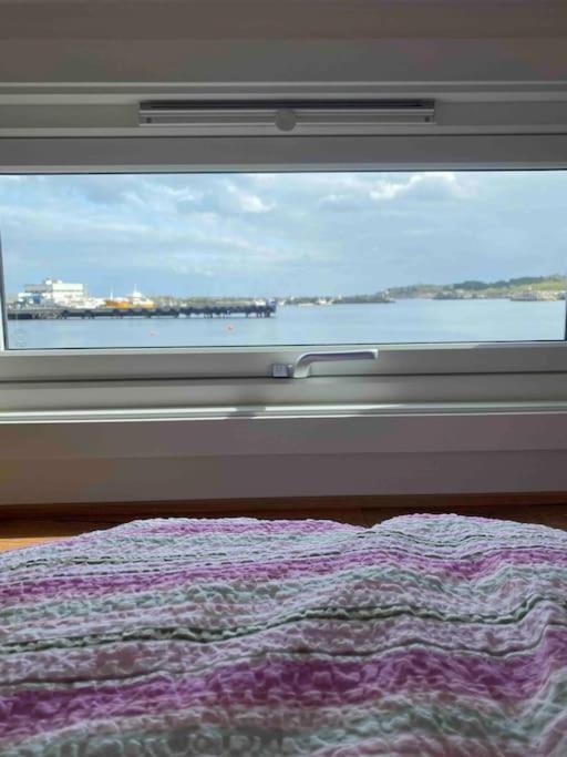 Moderne minihus ved havet