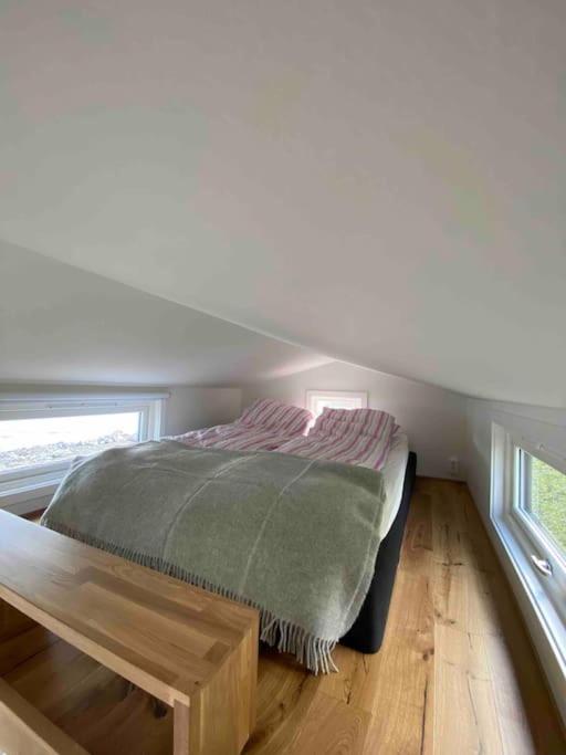 Moderne minihus ved havet