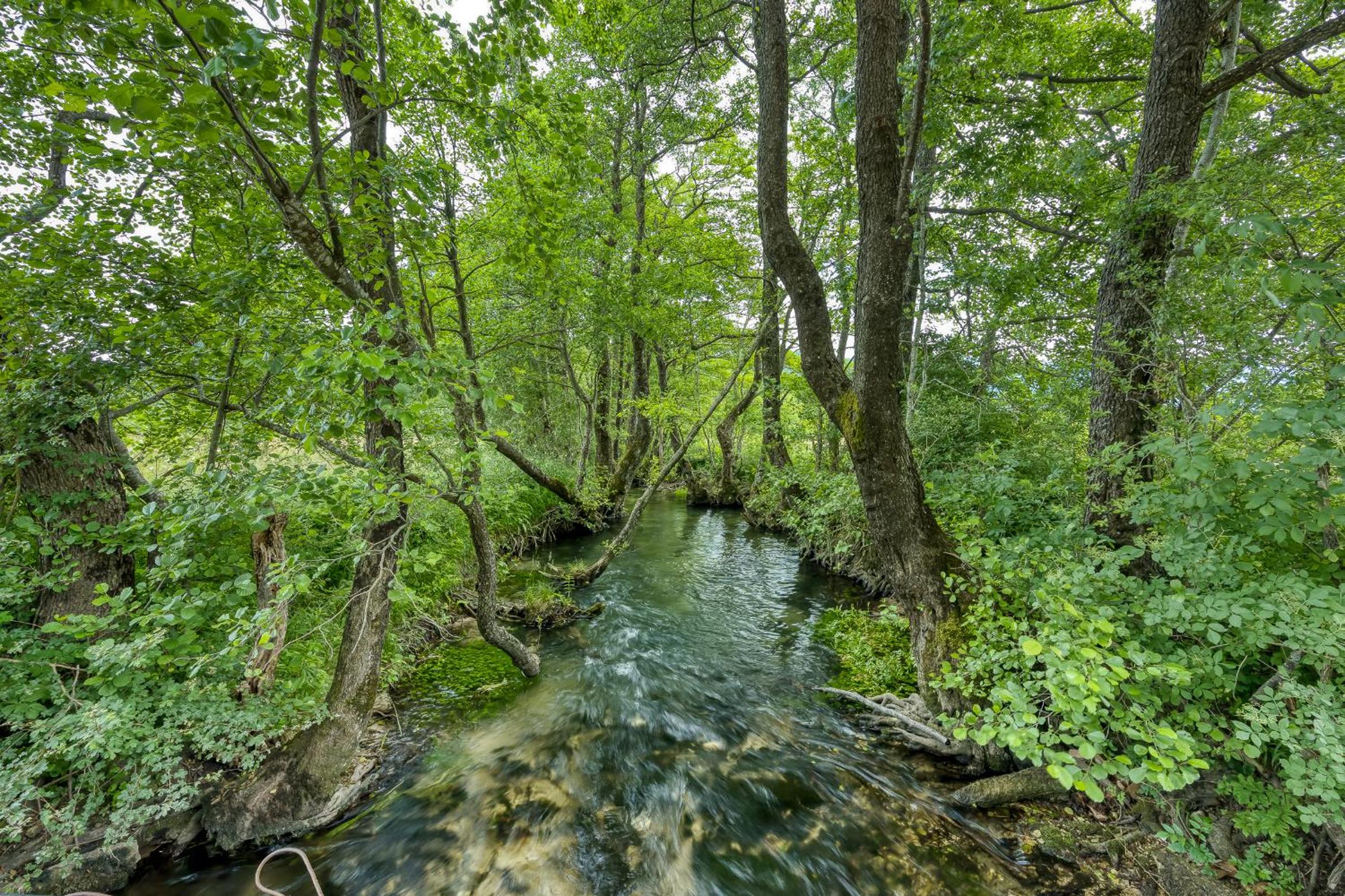 Photo 25