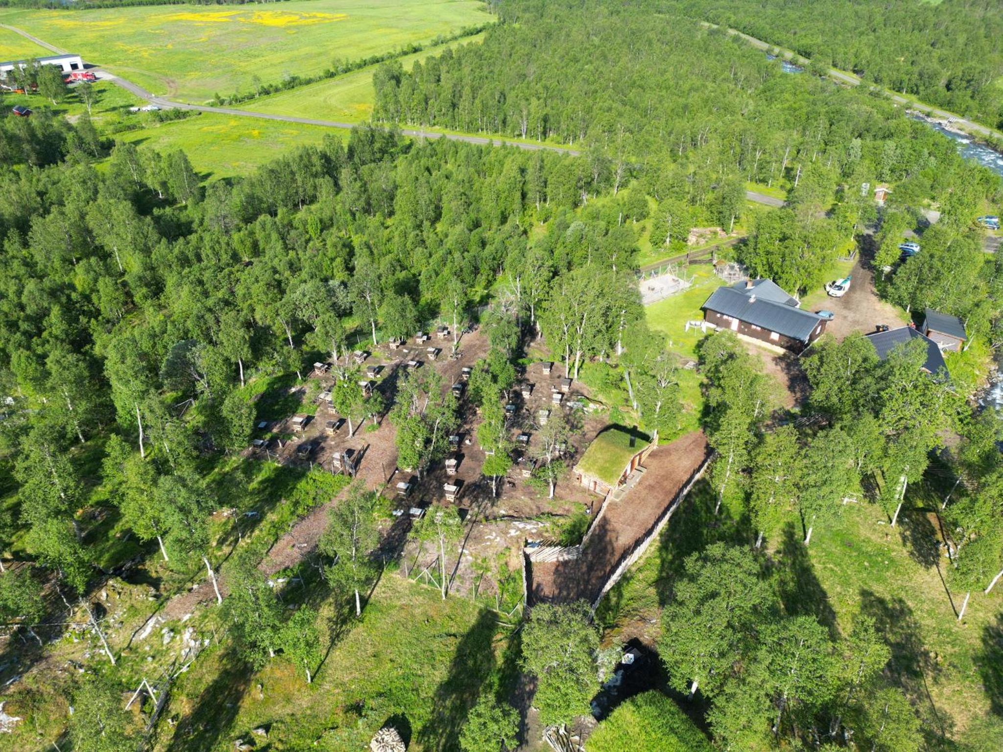 Bardu Huskylodge
