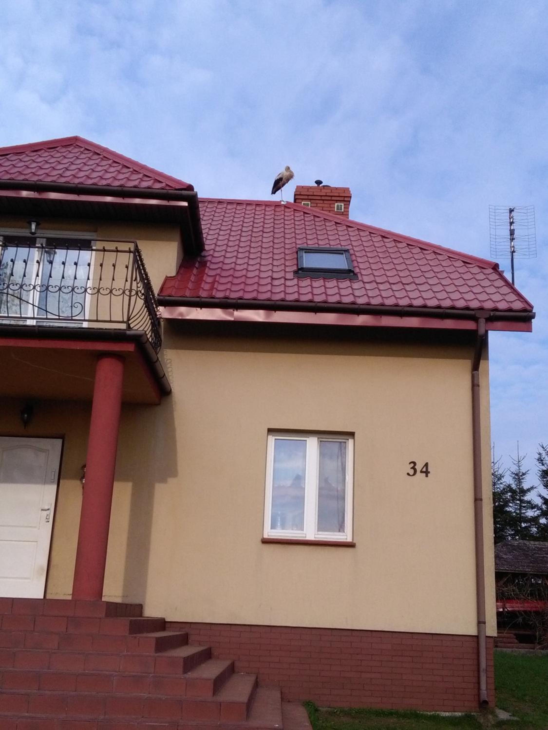 Gospodarstwo Agroturystyczne Wólka 34 view 3