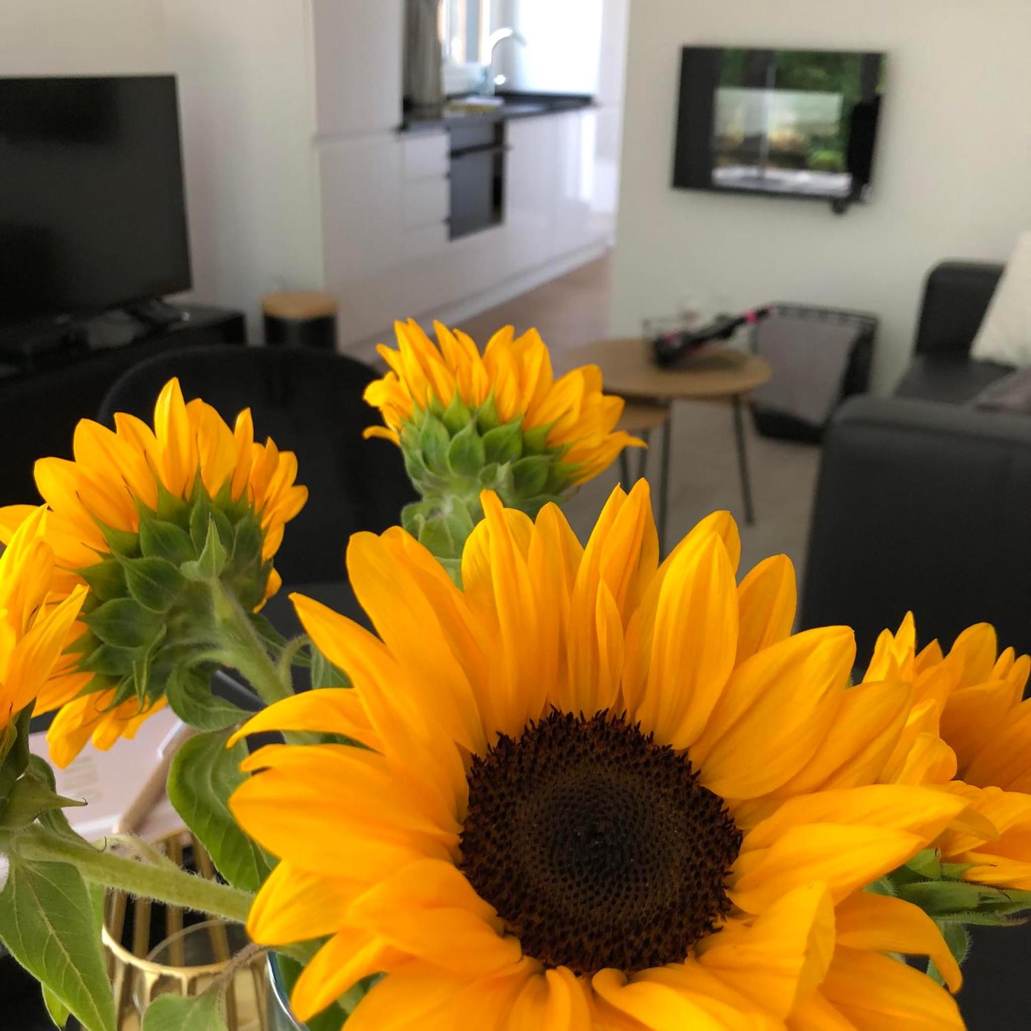Vakantiewoning Mystiek