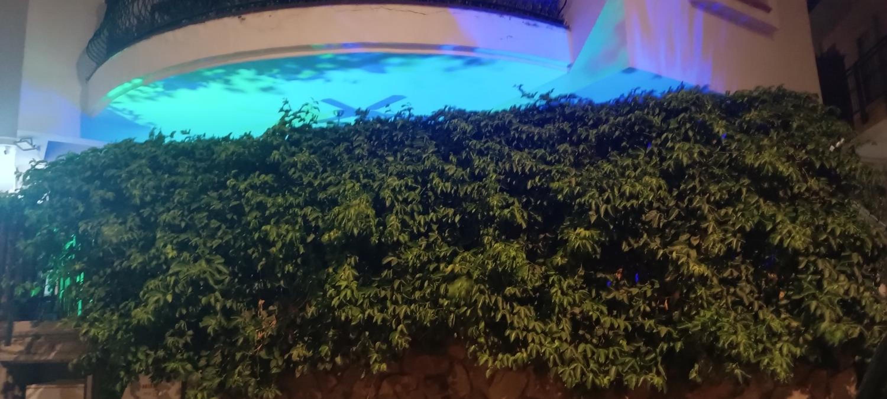 Oasis in Eilat view 3