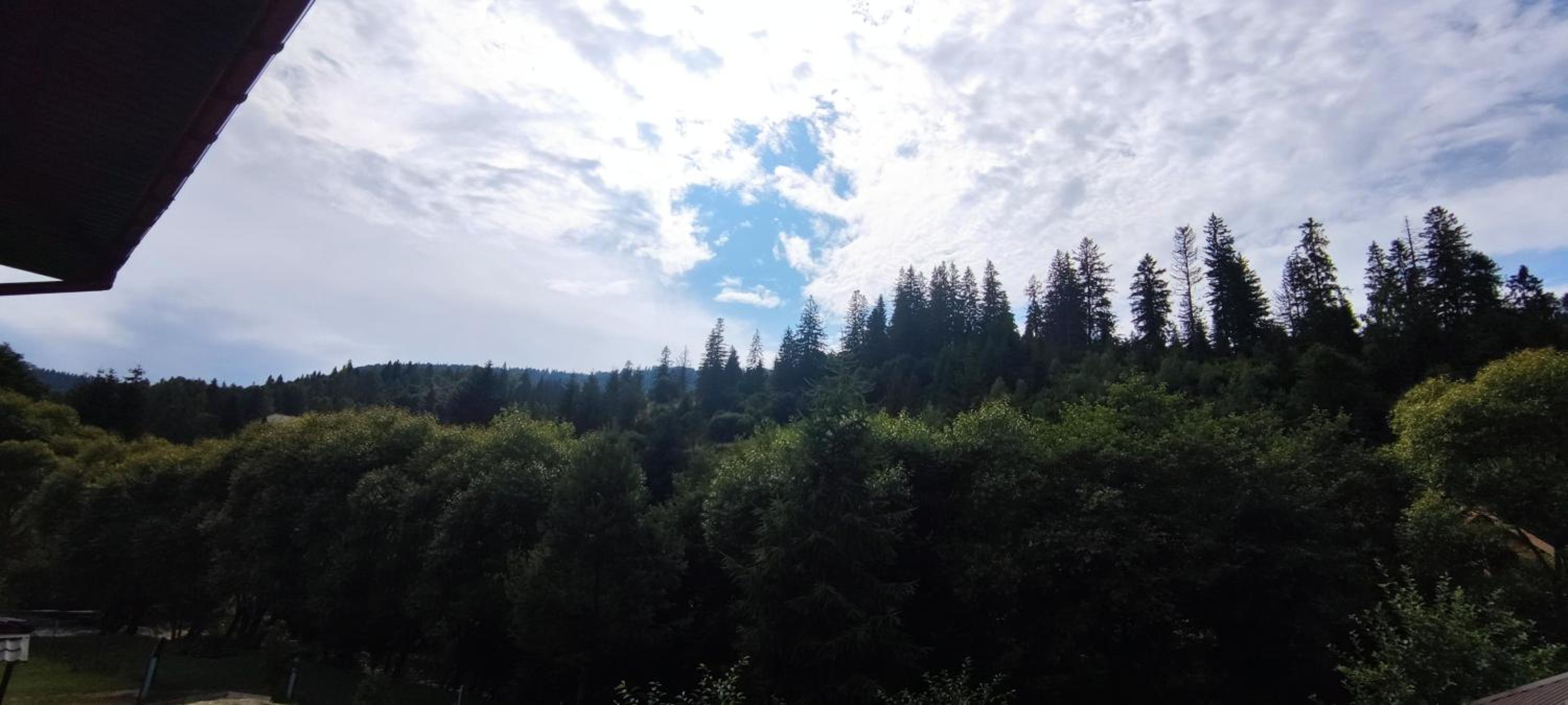 Vodograi