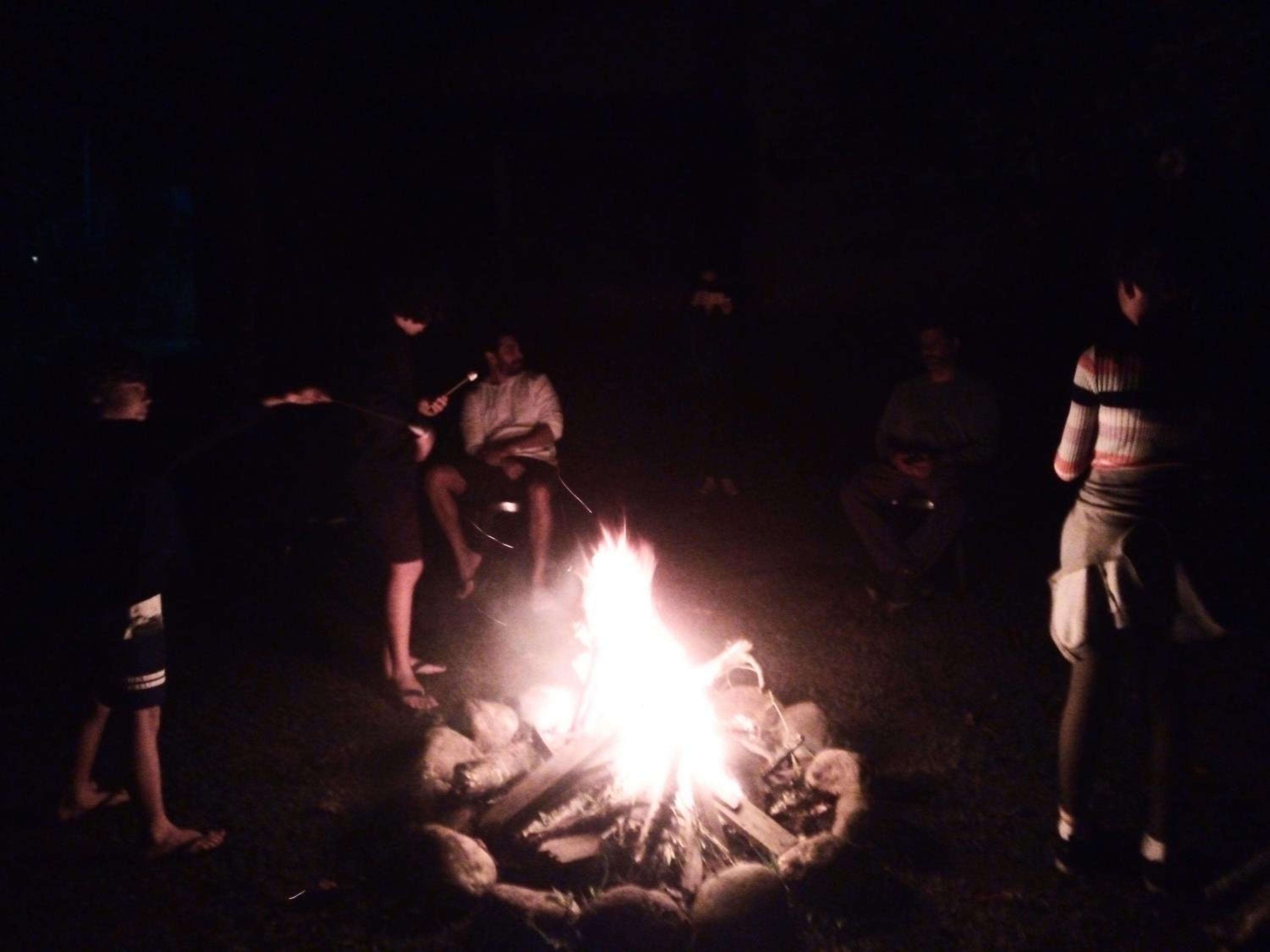 Photo 44