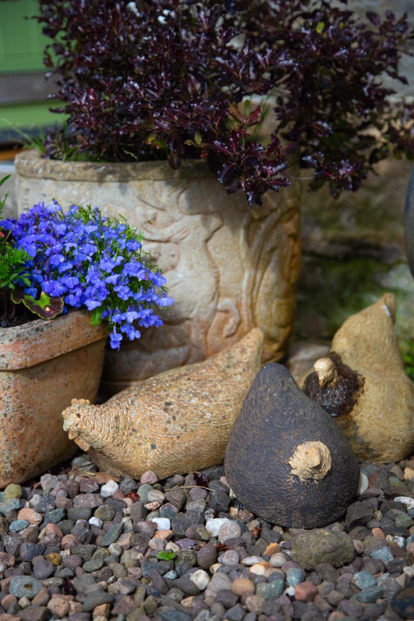 Balmungo Cottage B&B, photo 17