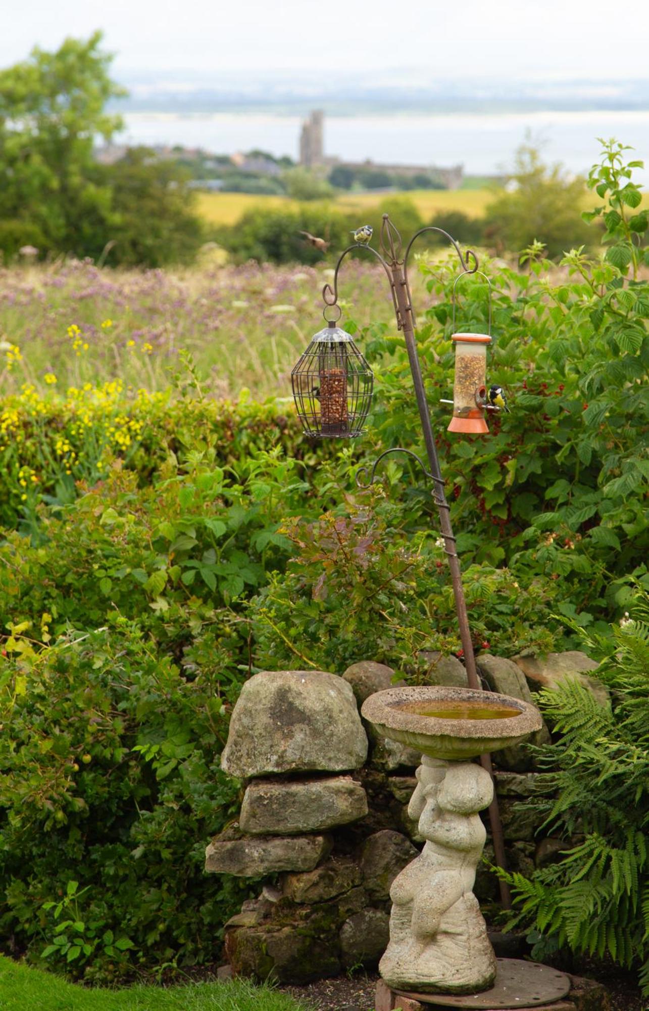 Balmungo Cottage B&B, photo 49