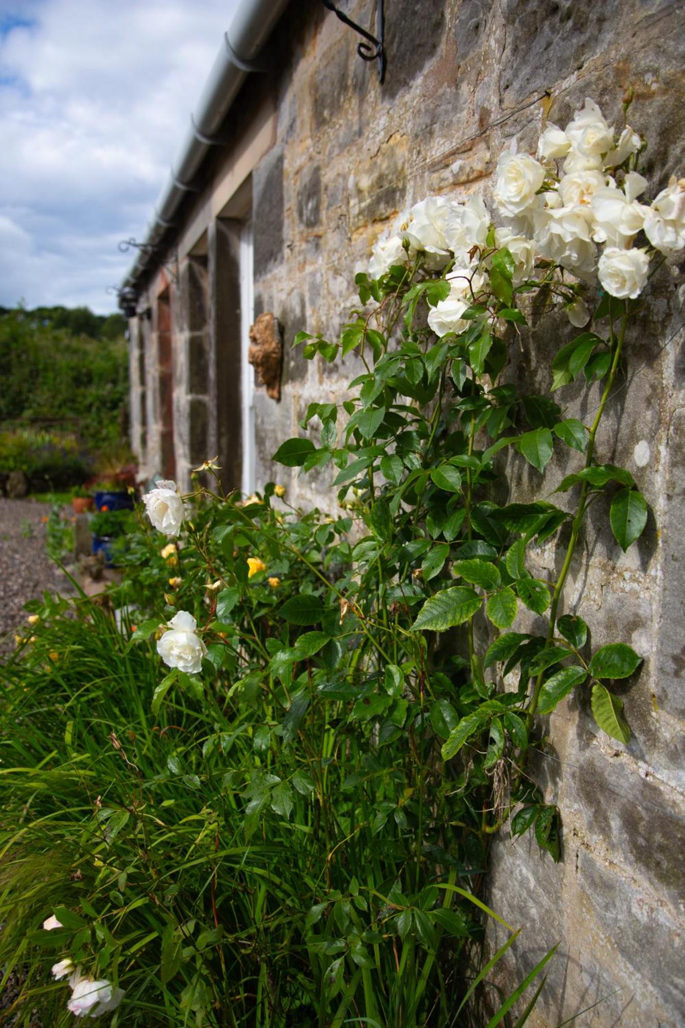 Balmungo Cottage B&B, photo 16