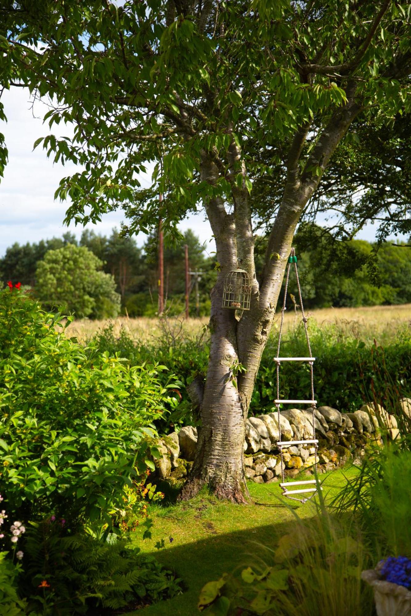Balmungo Cottage B&B, photo 68
