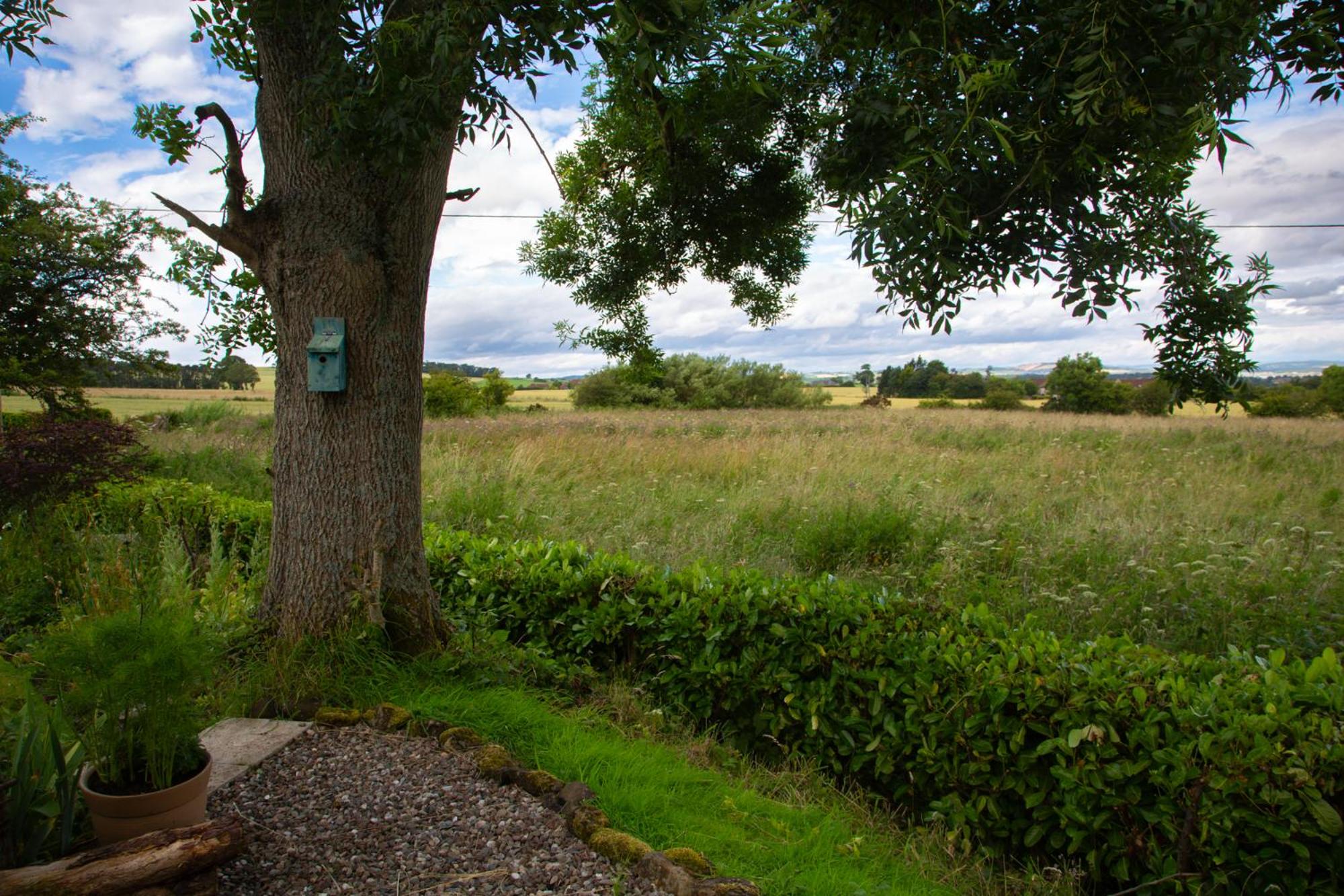 Balmungo Cottage B&B, photo 56