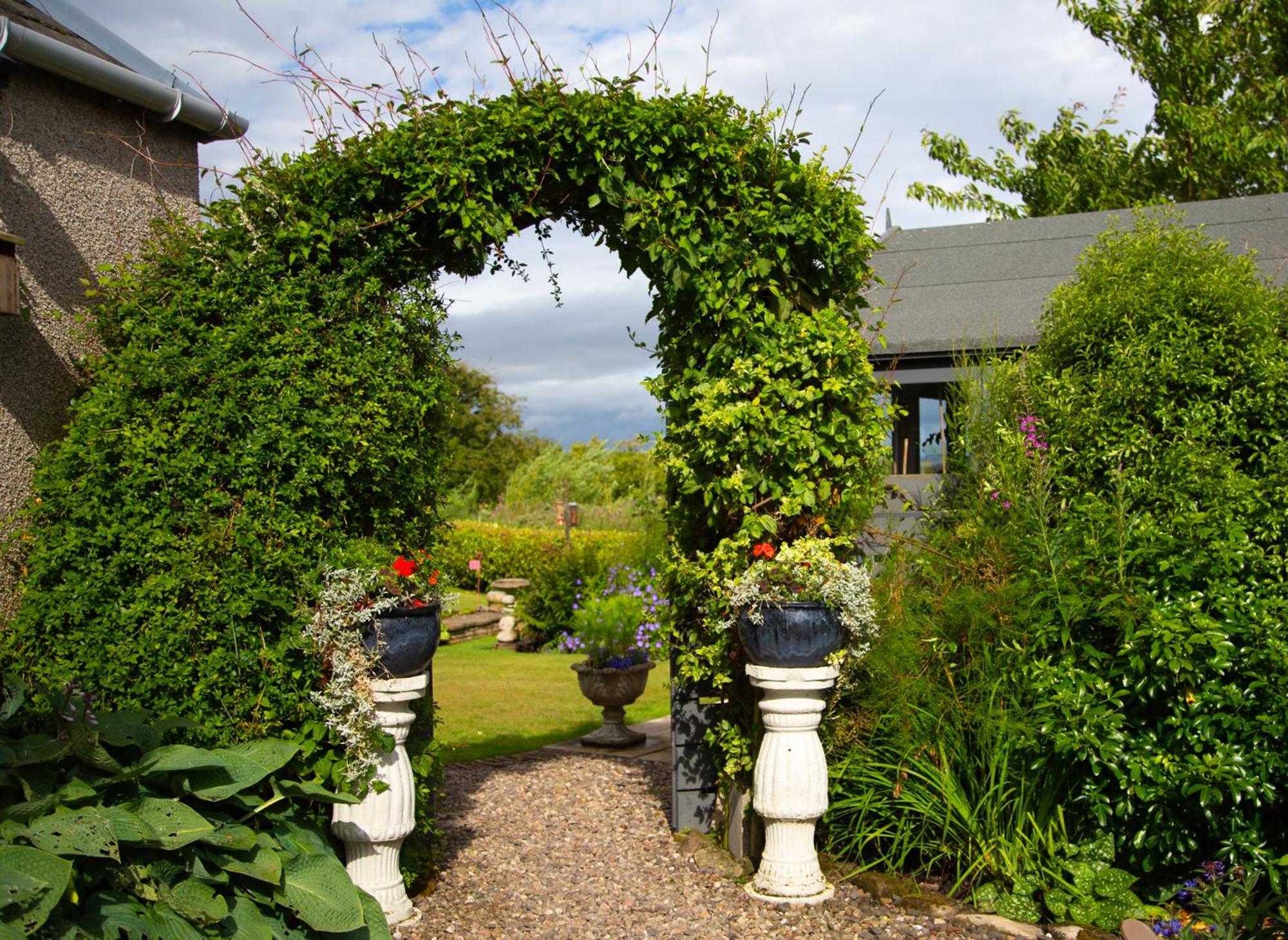 Balmungo Cottage B&B, photo 9