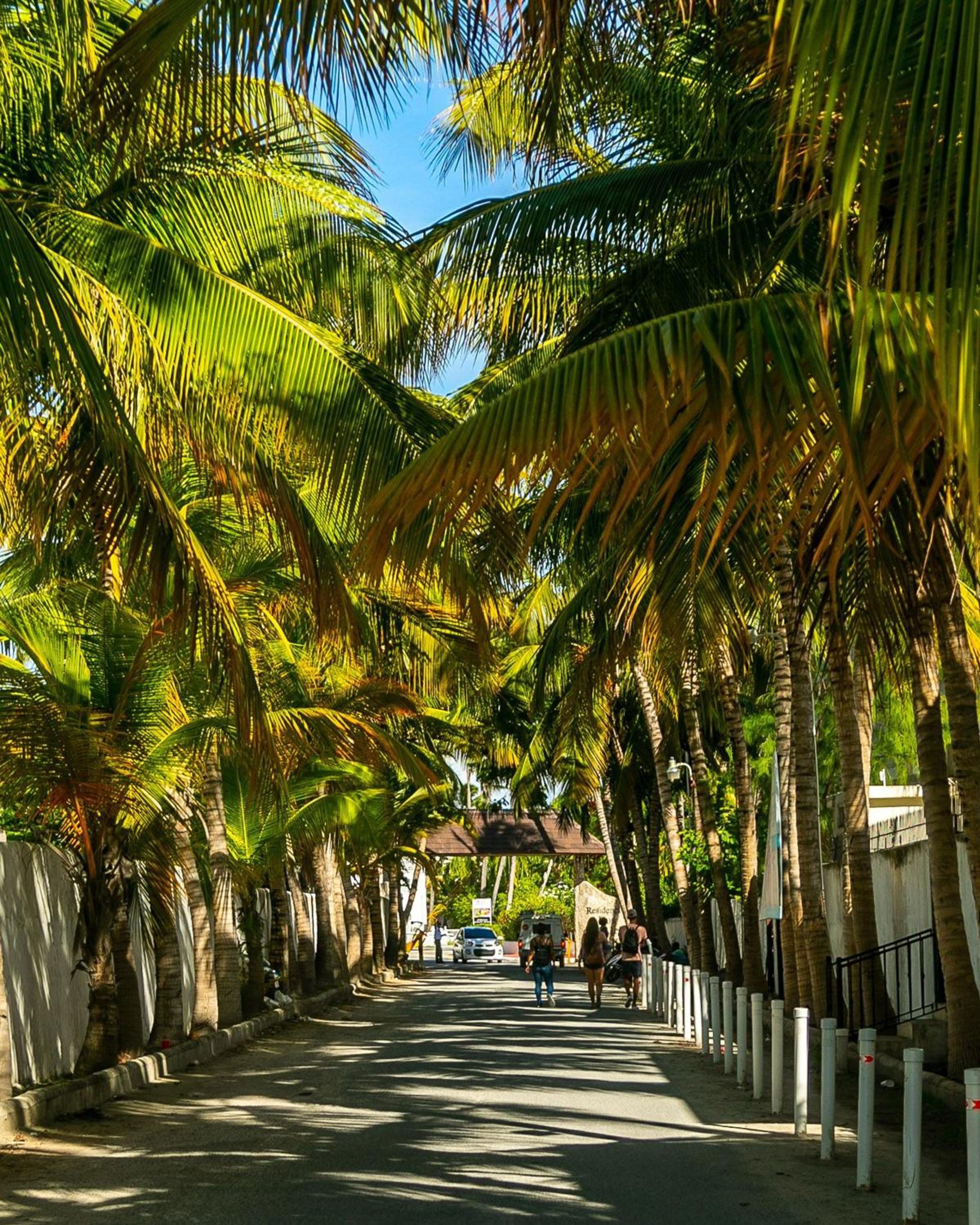 Playa Turquesa 3BR • BBQ • Oceanfront Stay