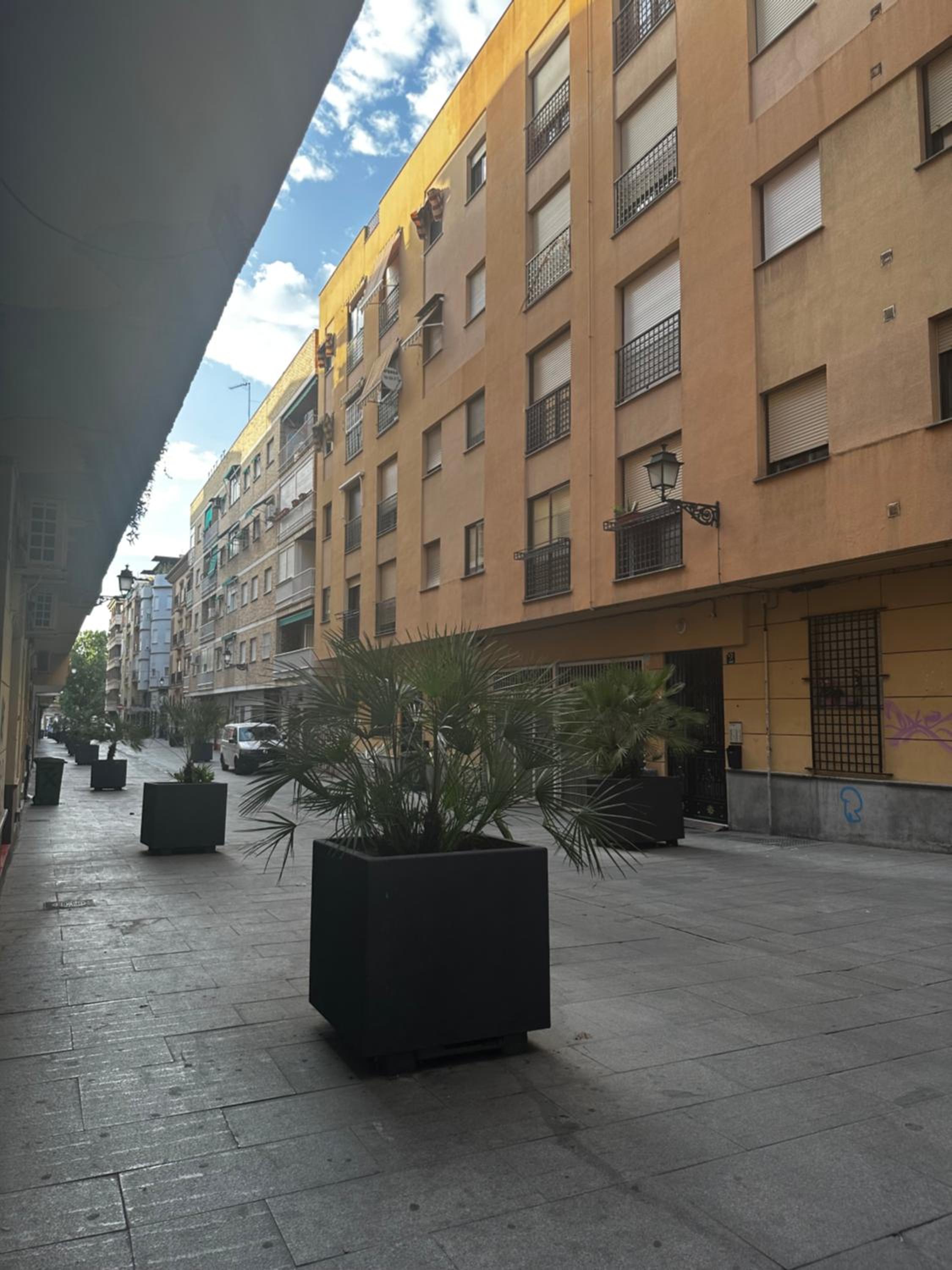 Libélula Centro 2 Dormitorios con Encanto