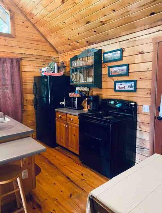 The Loft at Bear Mountain log cabins view 3