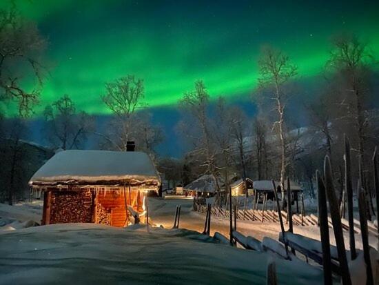 Bardu Huskylodge