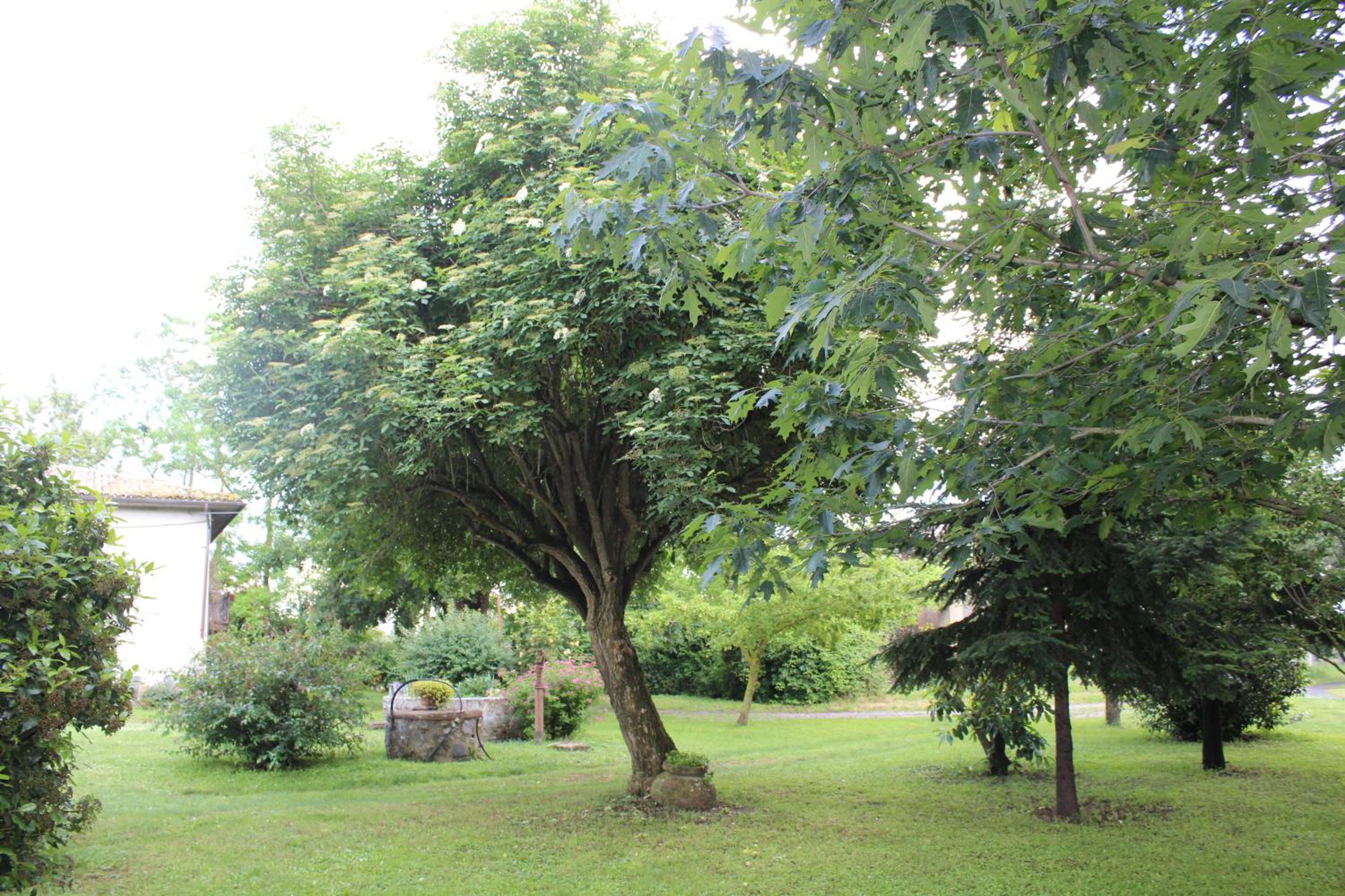ALLOGGIO PREDIO VALCELLE view 2