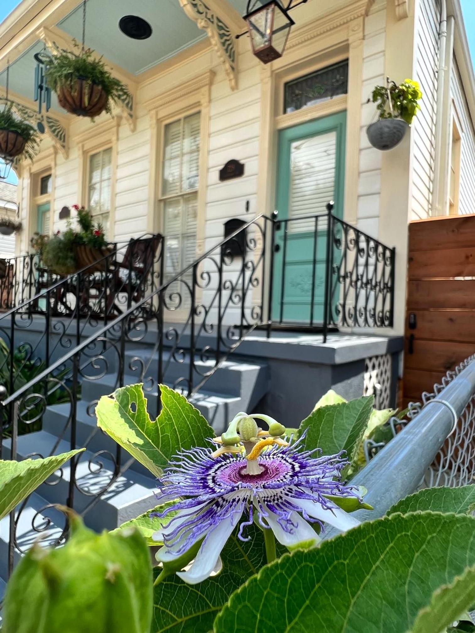 Luxury Historic Shotgun Home in Lower Garden District view 2