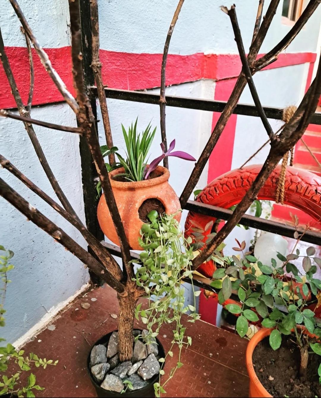 Bageecha B&B- Vaayu, photo 60