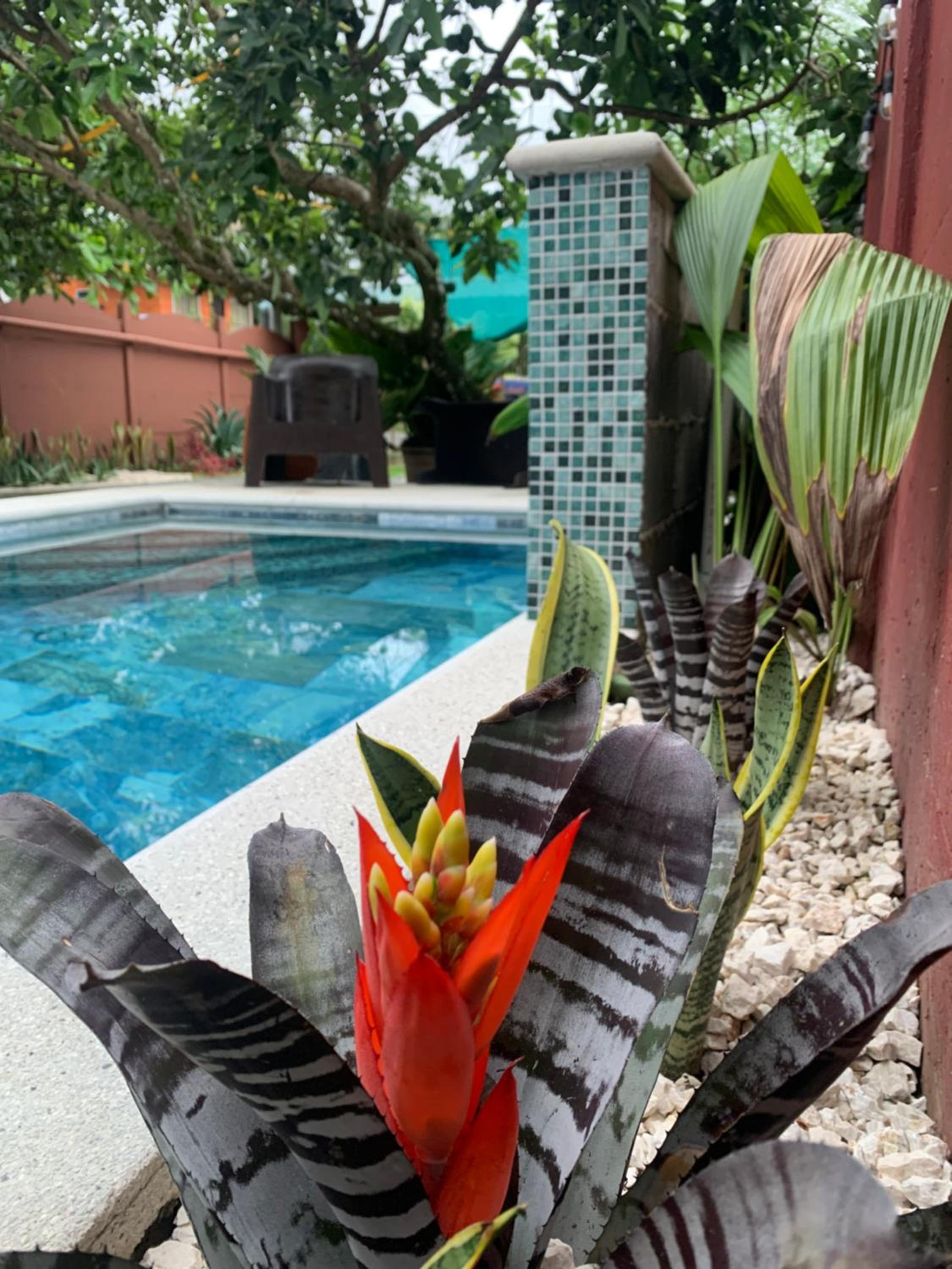 Villa JADE, La Fortuna Downtown