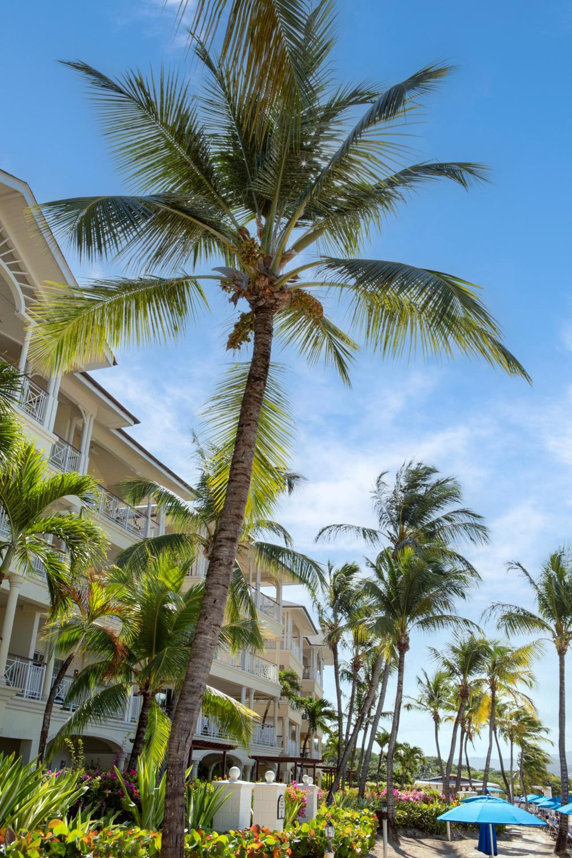 The Landings Resort and Spa - All Suites - Photo 81