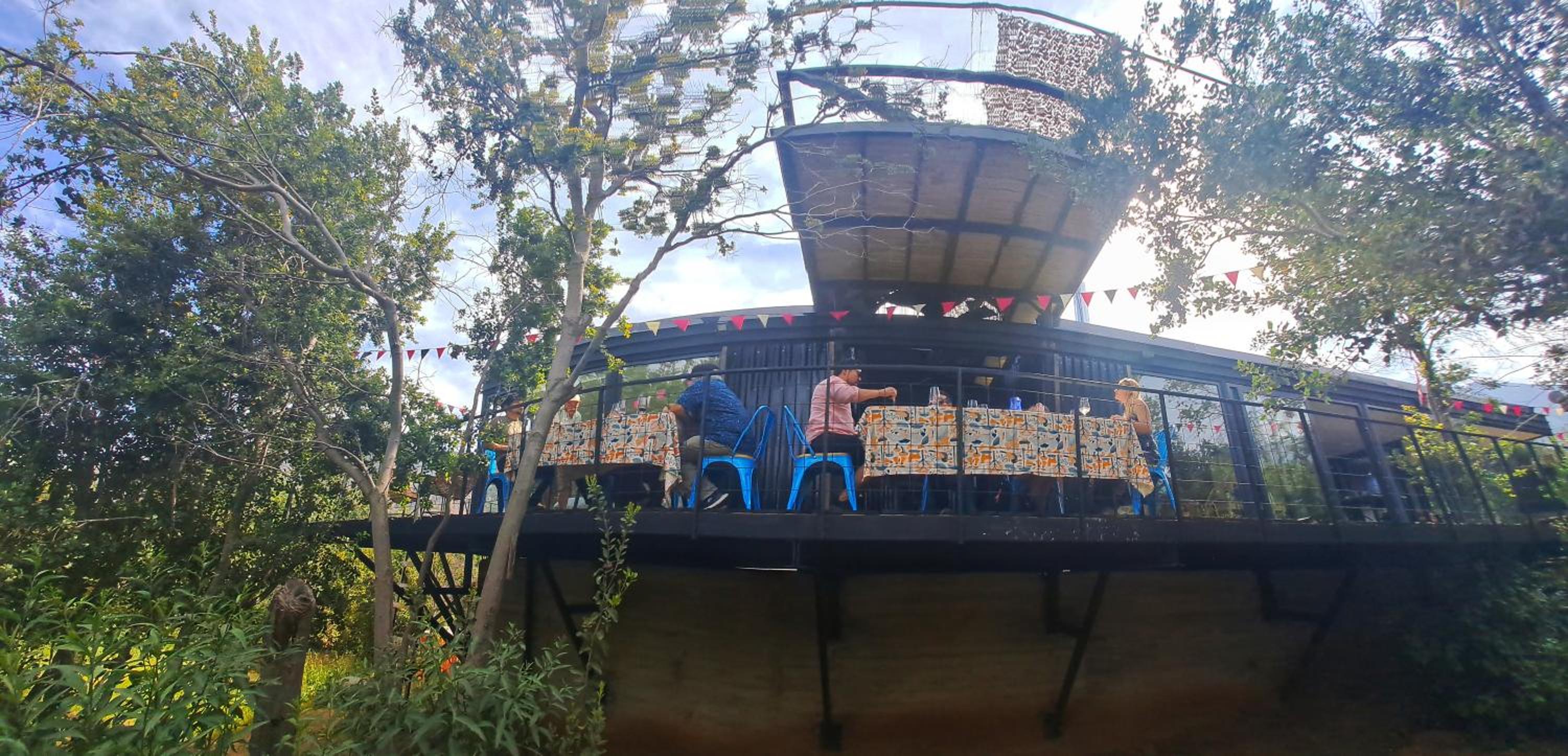 Wine Lodge de Viña Vultur en bosque nativo con piscina