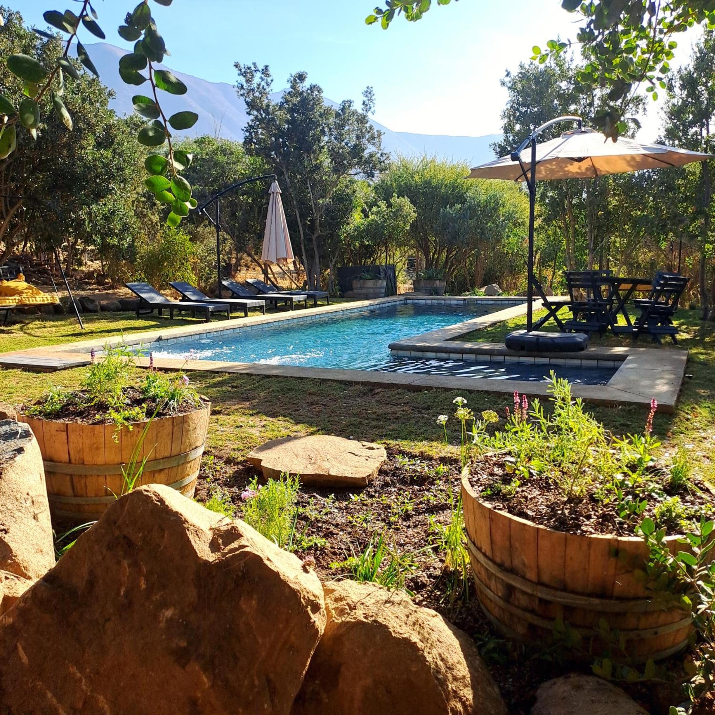 Wine Lodge de Viña Vultur en bosque nativo con piscina