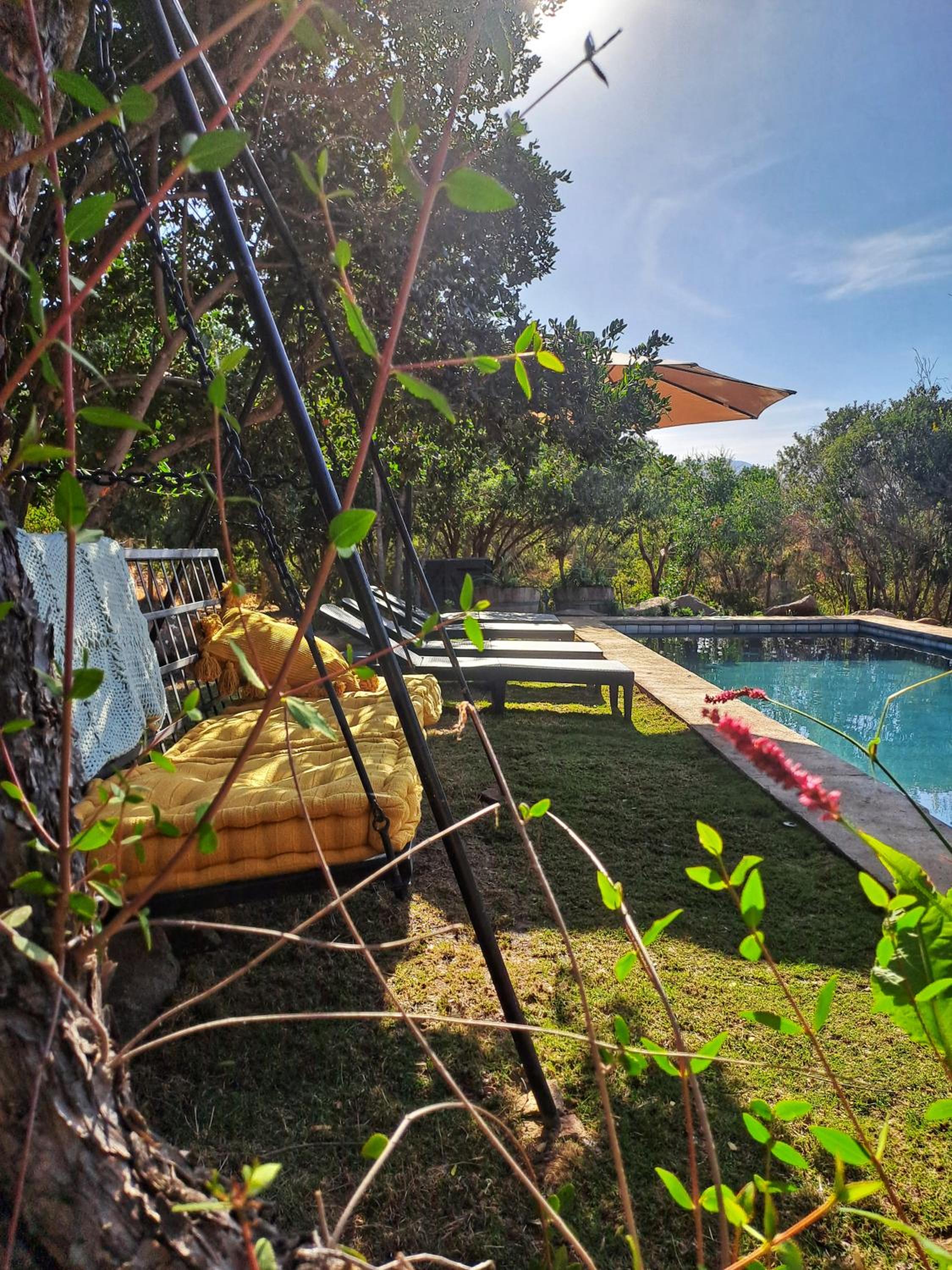 Wine Lodge de Viña Vultur en bosque nativo con piscina