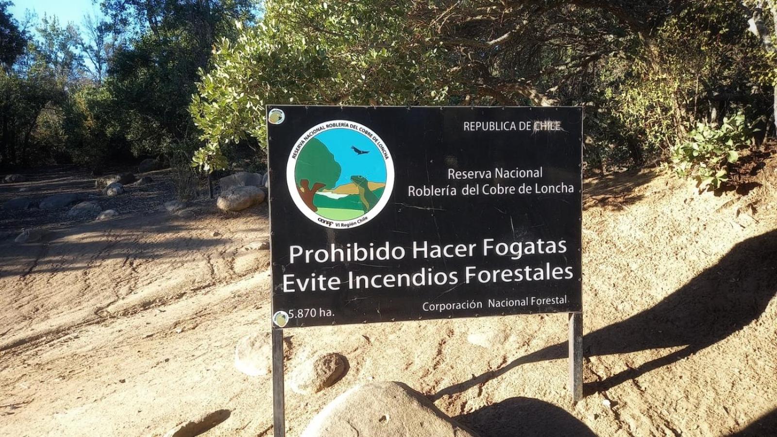 Wine Lodge de Viña Vultur en bosque nativo con piscina