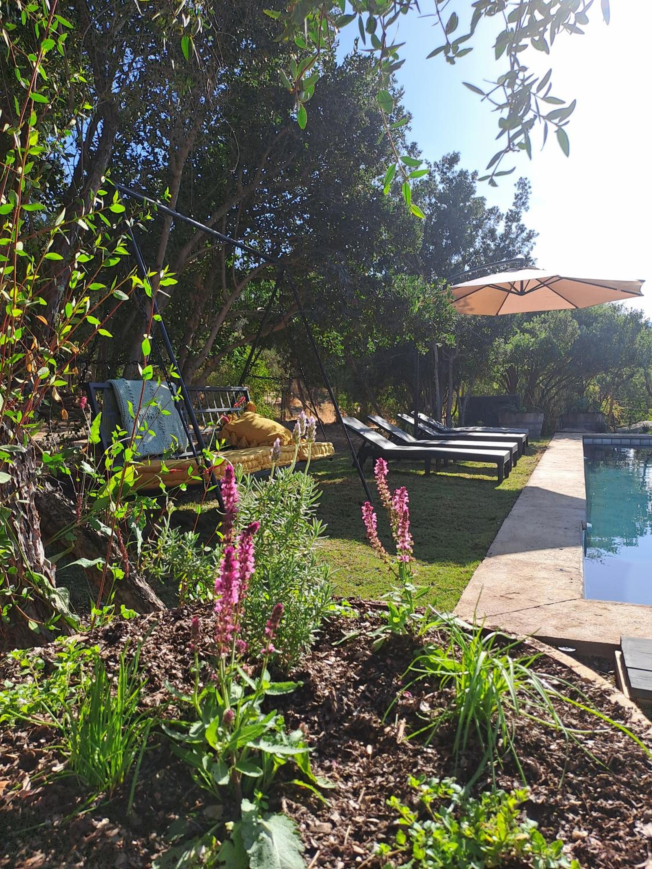Wine Lodge de Viña Vultur en bosque nativo con piscina