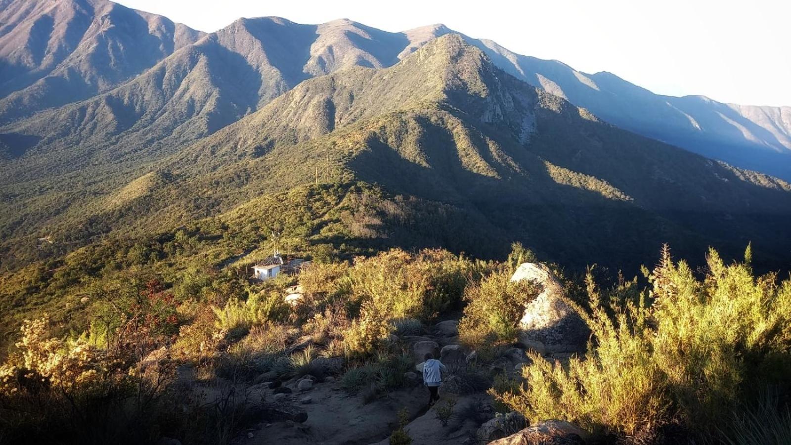 Wine Lodge de Viña Vultur en bosque nativo con piscina