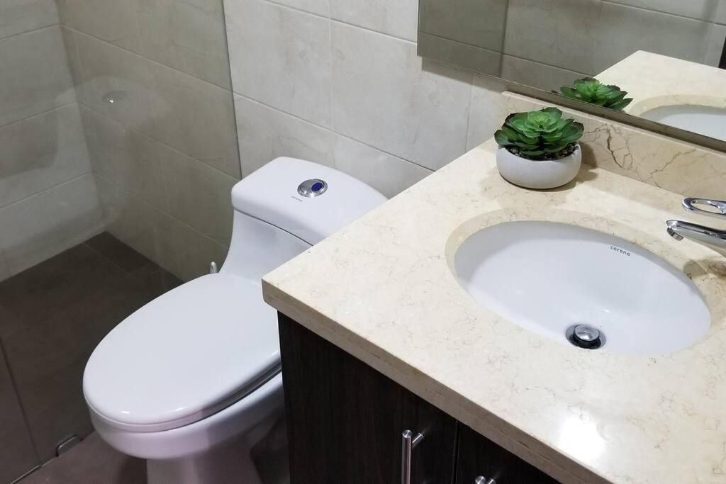 Habitat Macarena. Apartamento completo