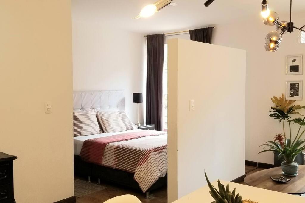 Habitat Macarena. Apartamento completo