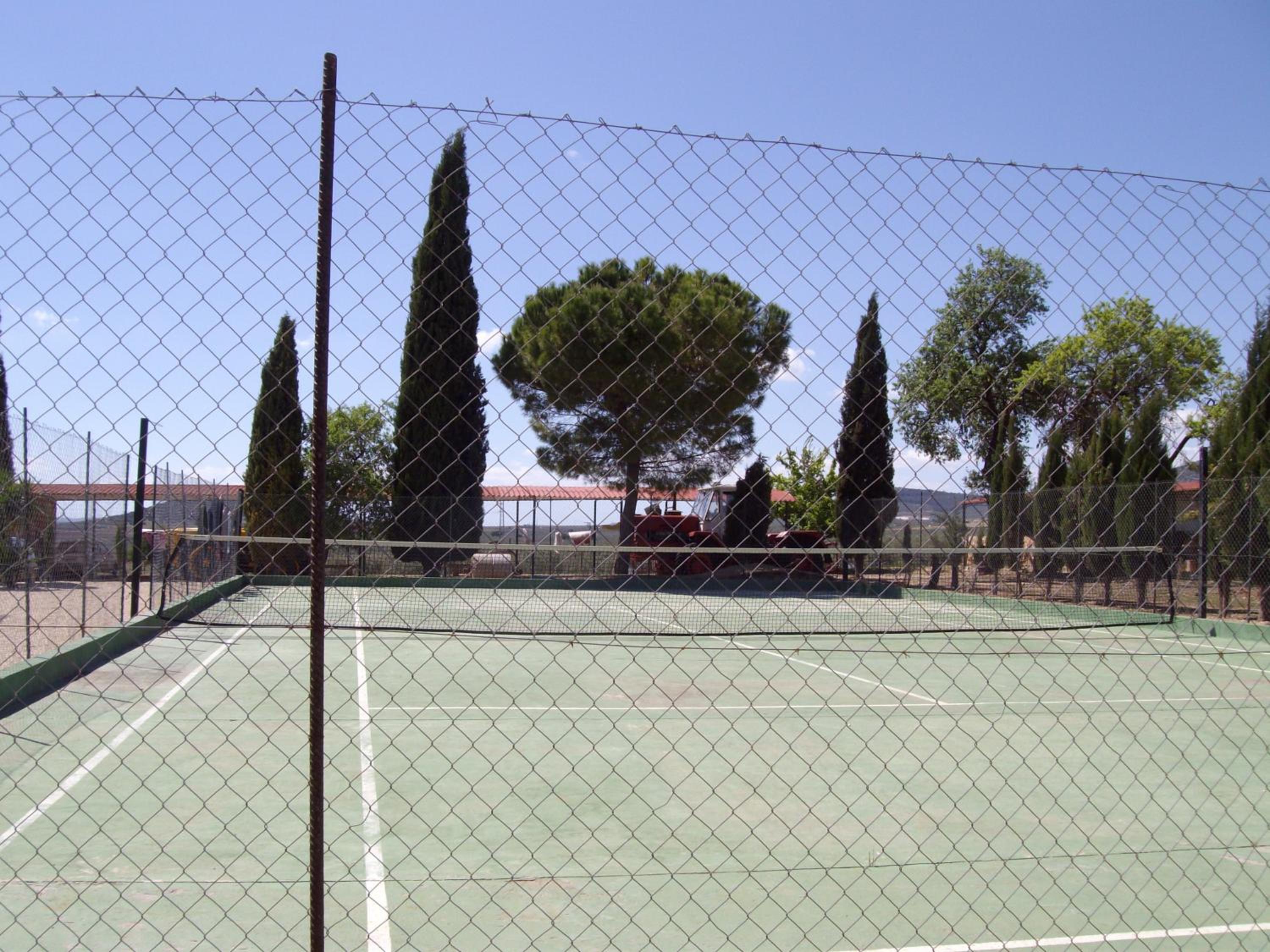 Photo 6