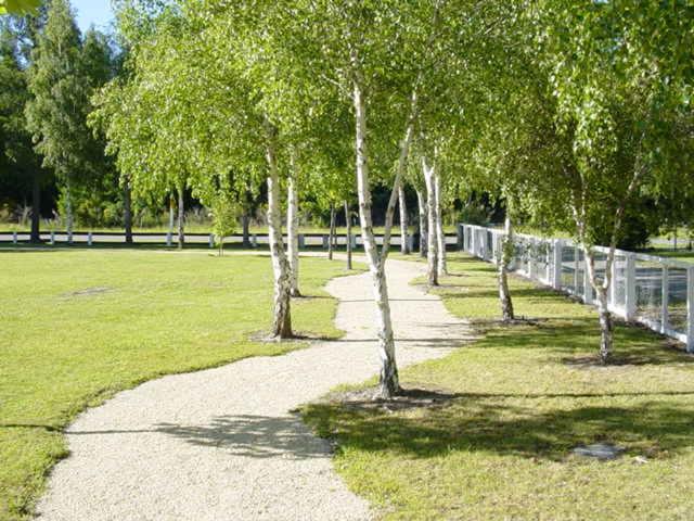 Hanmer Springs Forest Camp Trust view 2