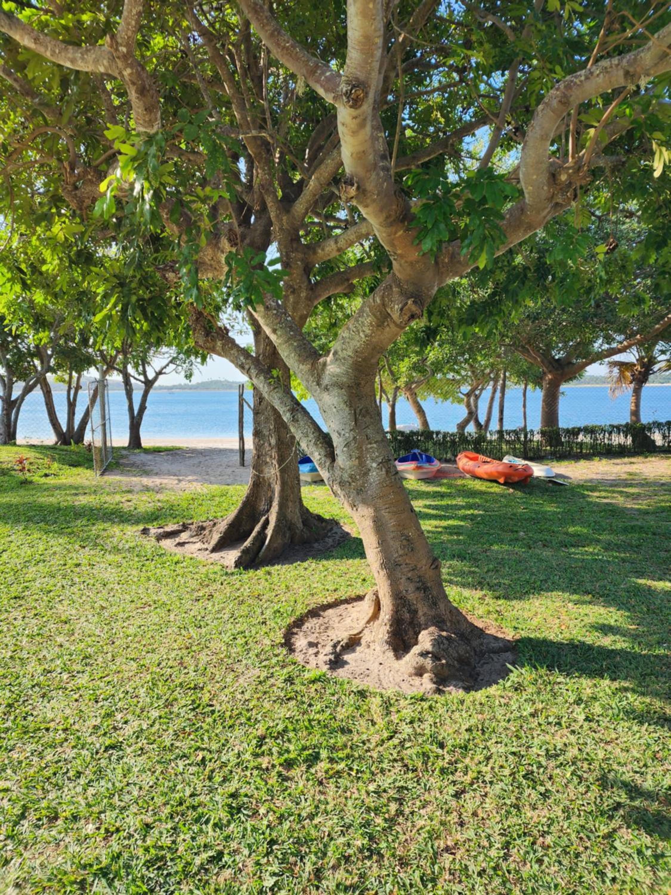 Serenity Nhabanga, Bilene