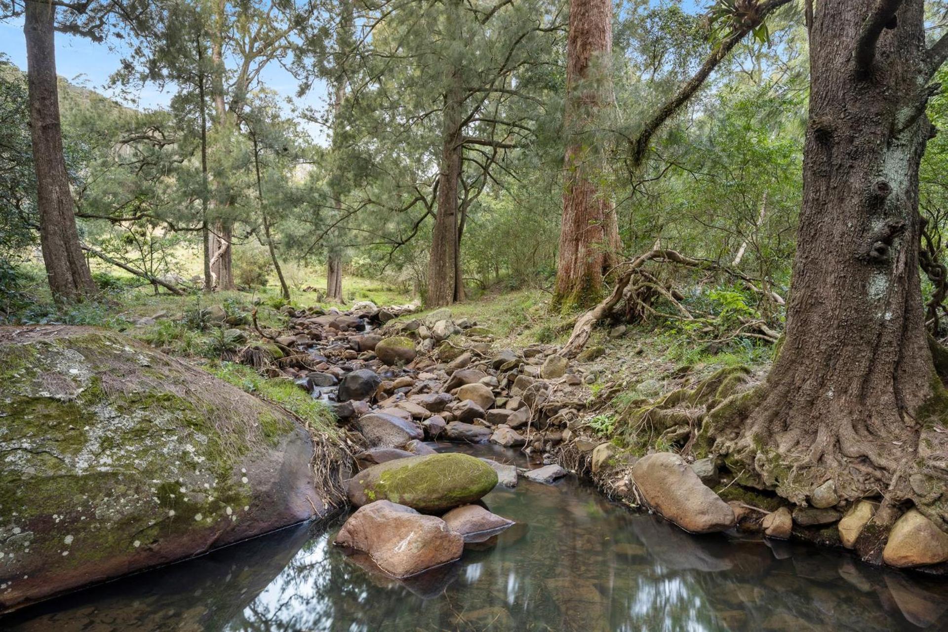 Ryders Creek