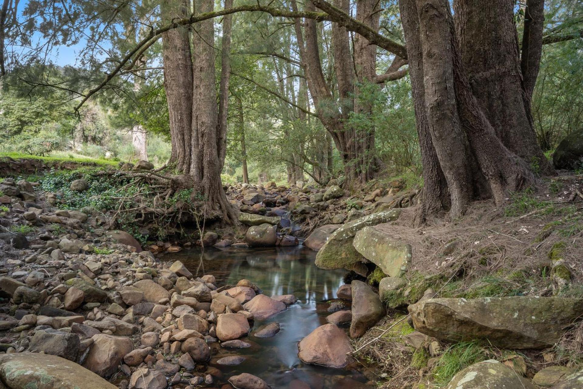 Ryders Creek