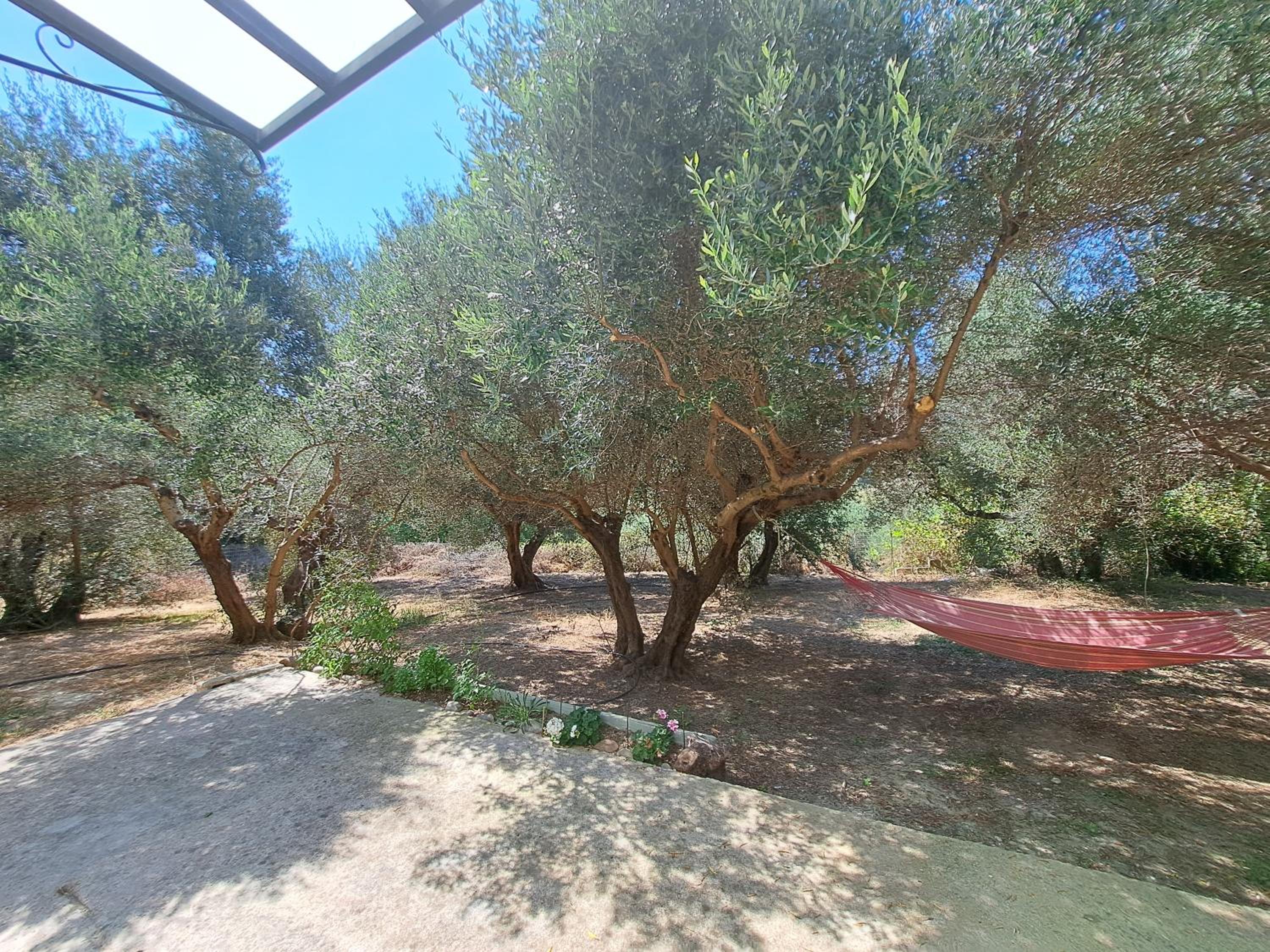 Photo 42