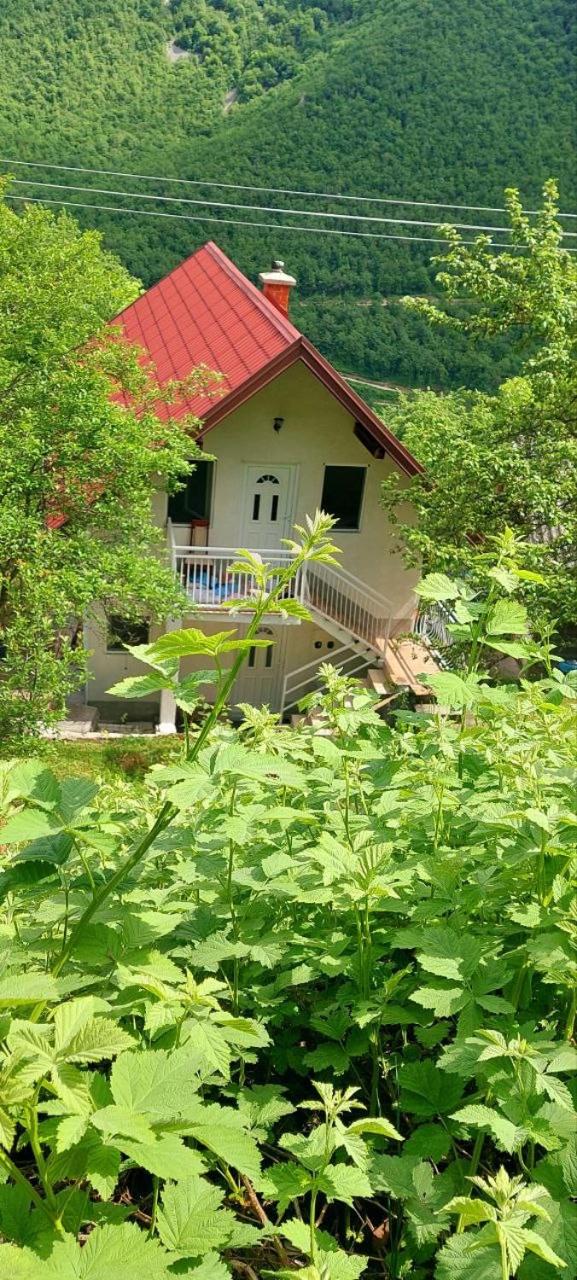TARA RIVER HOUSE view 3