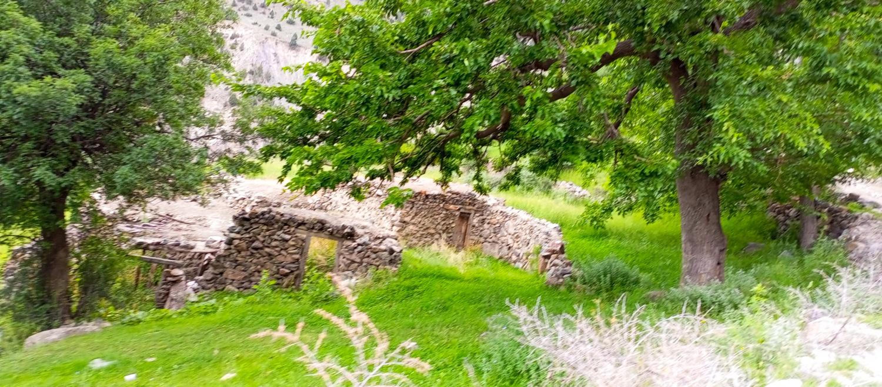 Photo 201