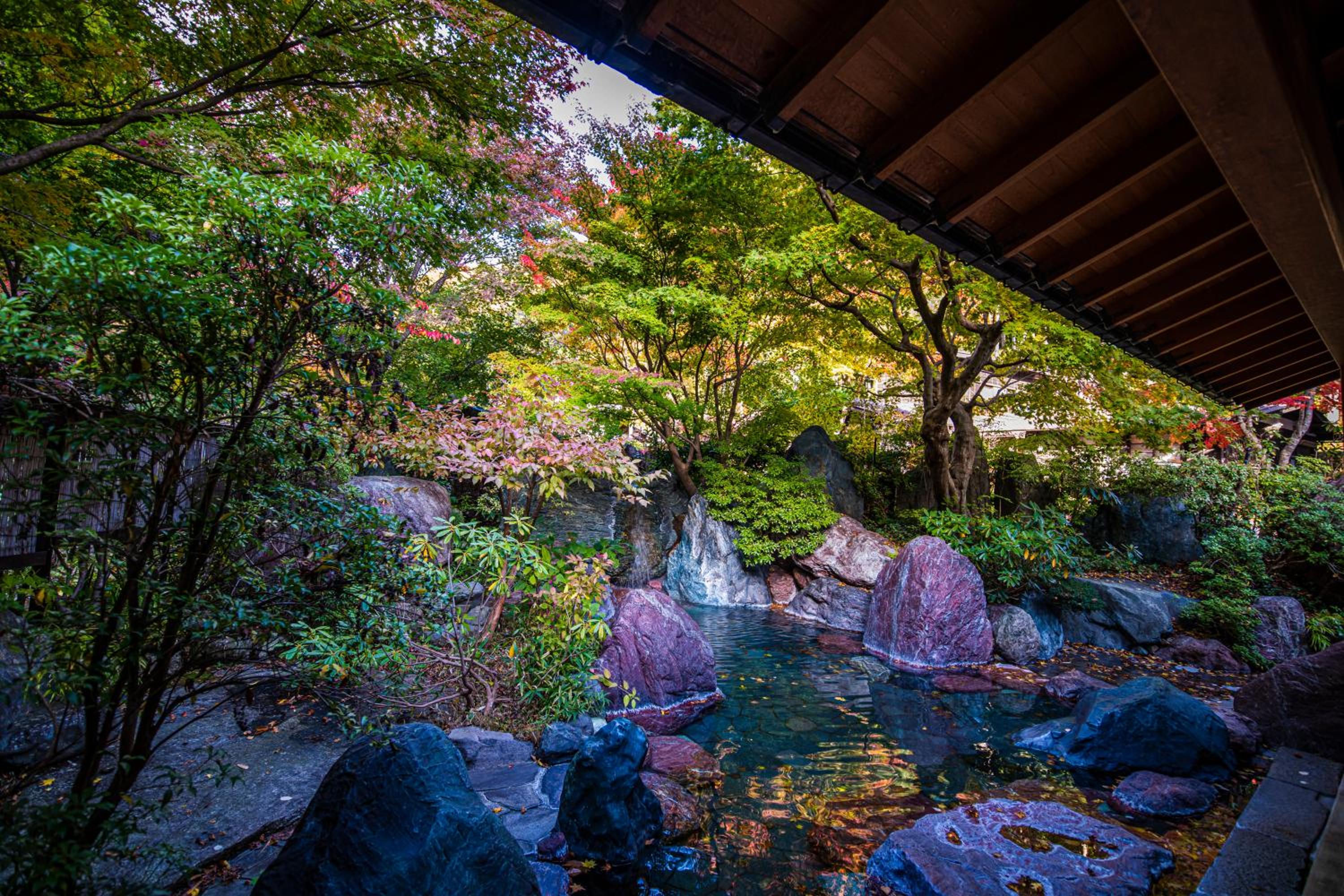 Houshi Onsen Chojukan