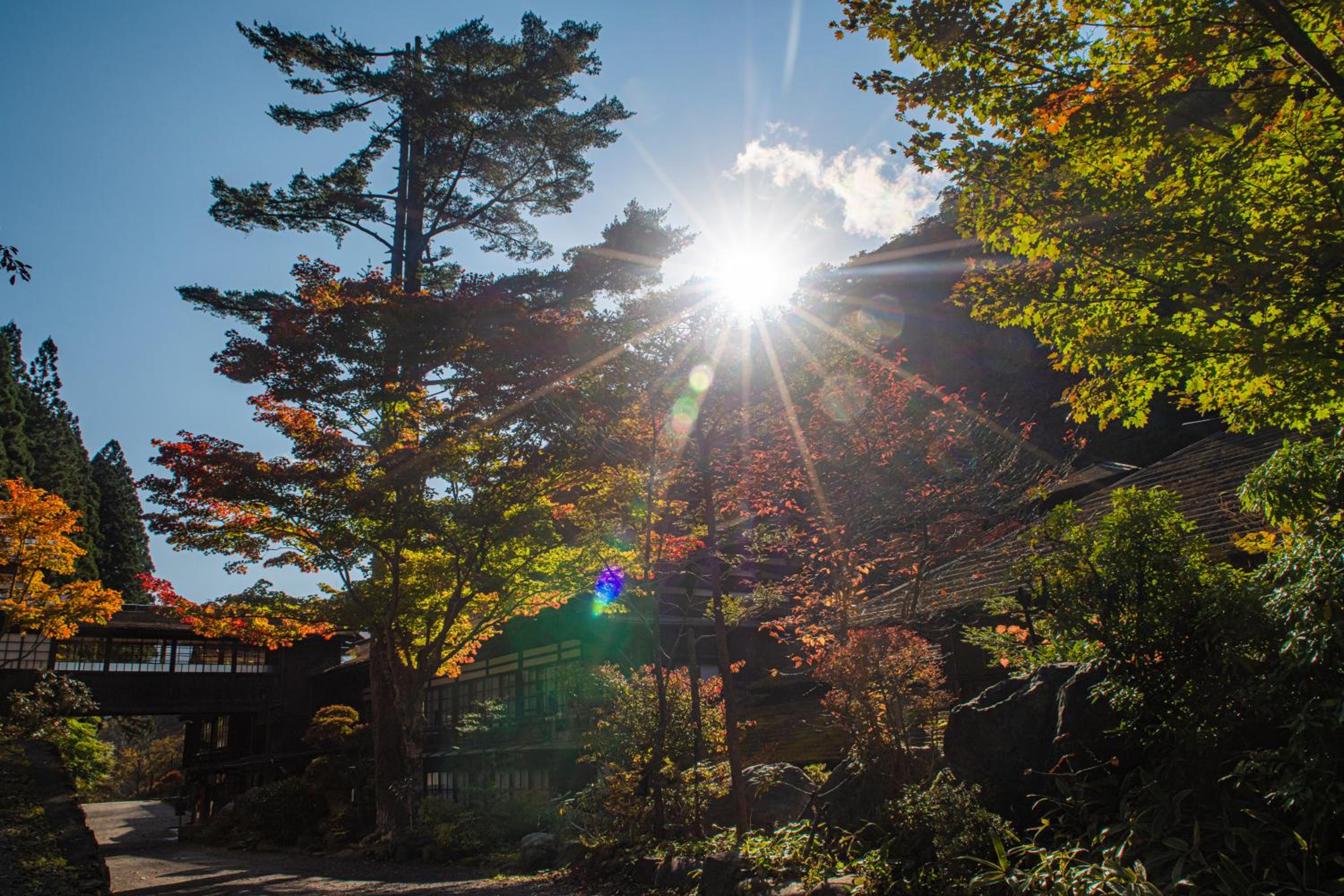 Houshi Onsen Chojukan
