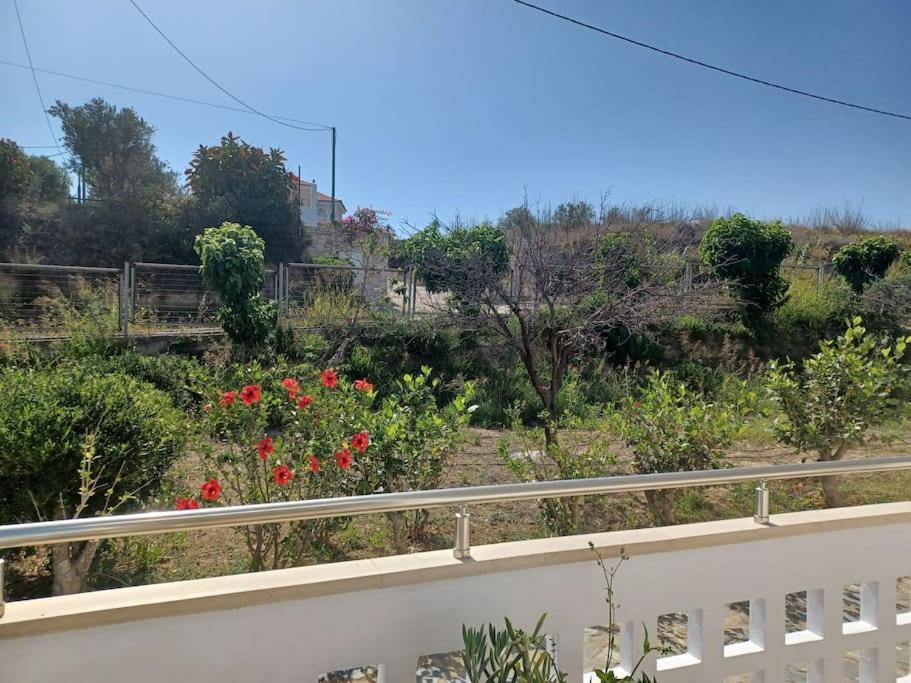 Casa Dastele remarkable seaview 5' from the sea view 5